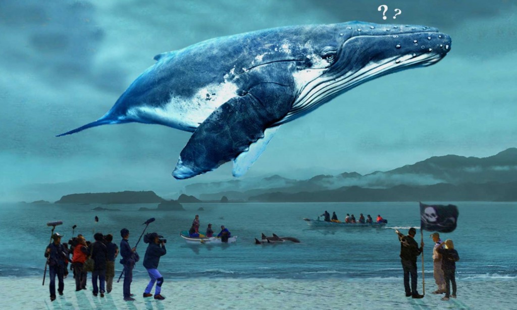 05_《鯨世爭議》繼奧斯卡最佳紀錄片血色海灣後再次探究日本捕鯨文化